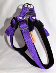 Postroj Torronto nylon Sun Fialová č.3   