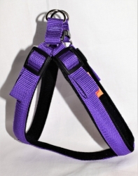 Postroj Torronto nylon Sun Fialová č.3   