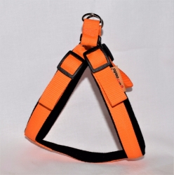 Postroj Torronto nylon Sun Oranžová č.3   