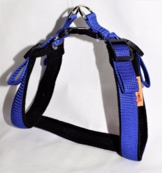 Postroj Torronto nylon Sun Modrá č.3    
