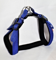 Postroj Torronto nylon Sun Modrá č.3    