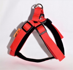 Postroj Torronto nylon Sun Červená Červená č.0