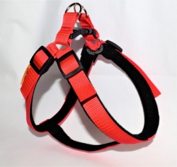 Postroj Torronto nylon Sun Červená č.2